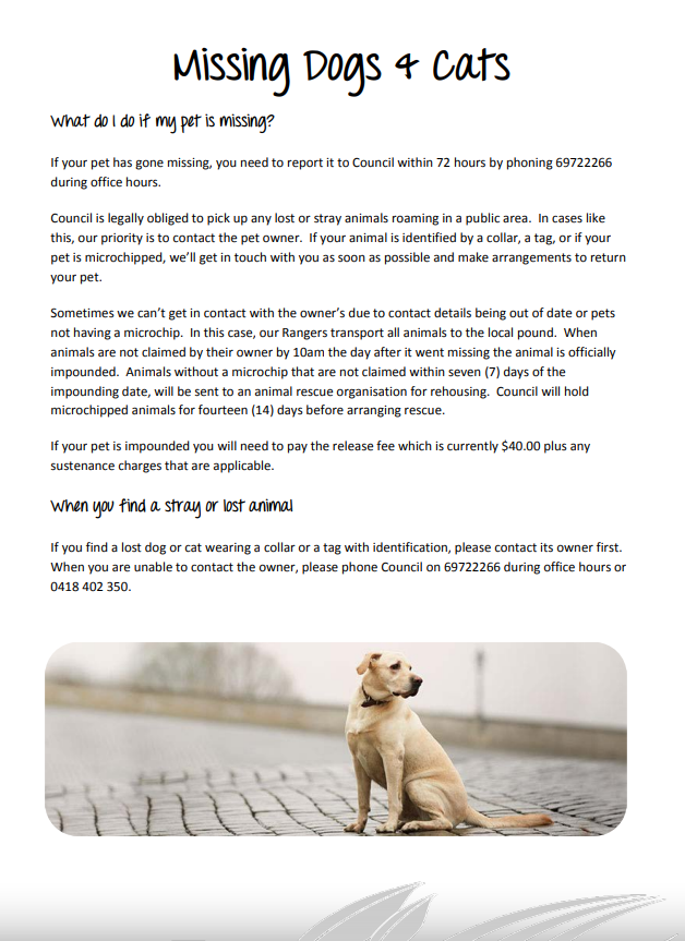 missing-dogs-and-cats-image.png