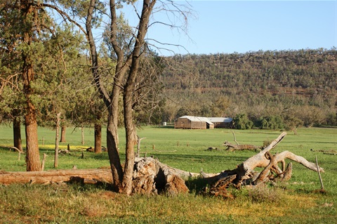 naradhan-woolshed.jpg