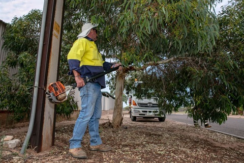 Roadside Vegetation management