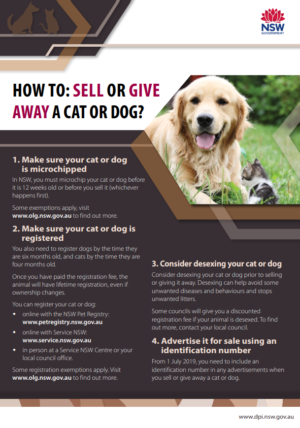 How-to-sell-or-gove-away-a-dog-1.png