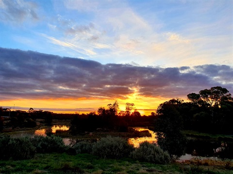 Wetlands-Dayanna-Jordan.jpg